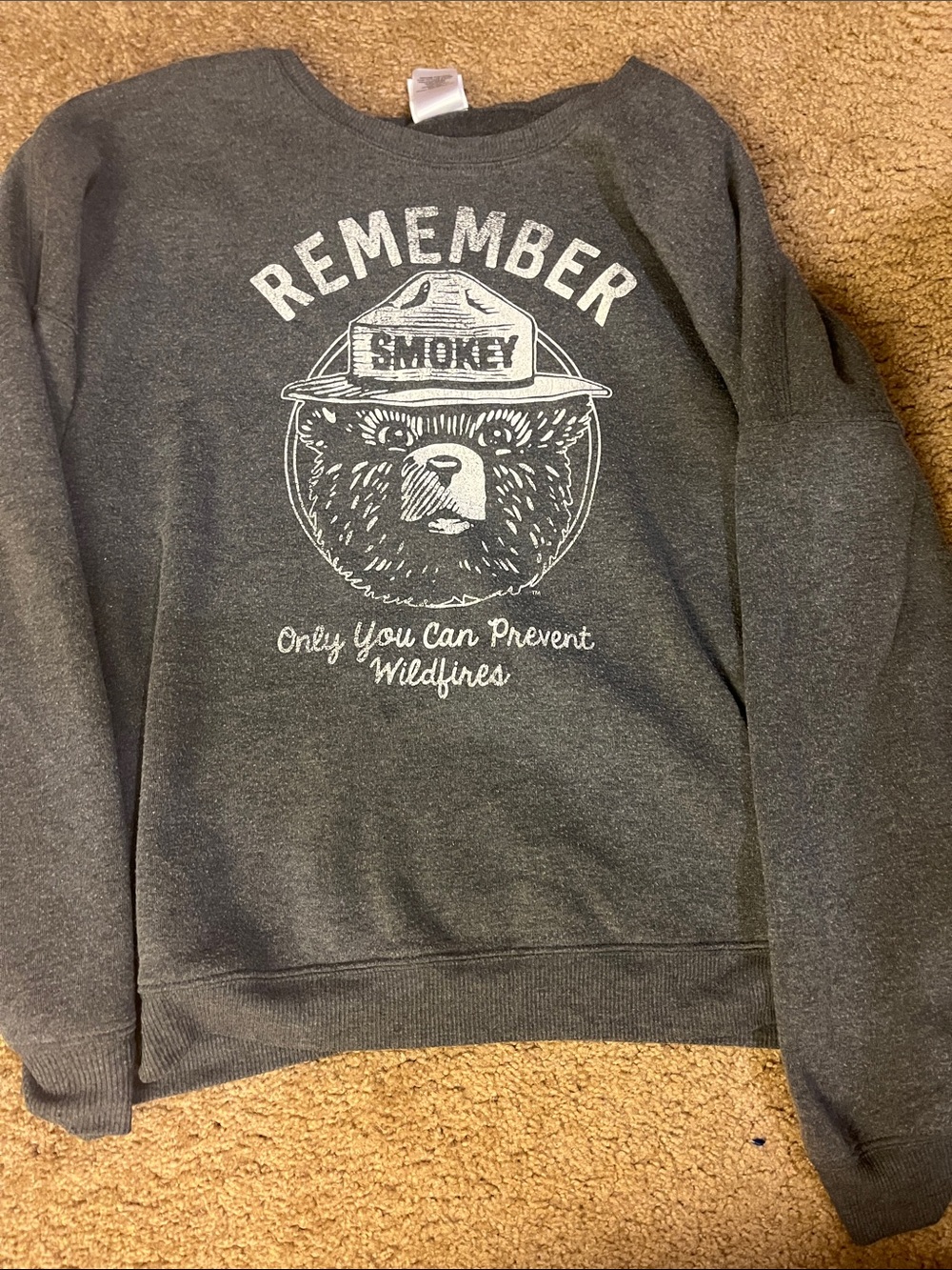 Remember Smokey Bear Graphic Sweatshirt - Dark Gray (runs small)⭐️rare⭐️ VINTAGE